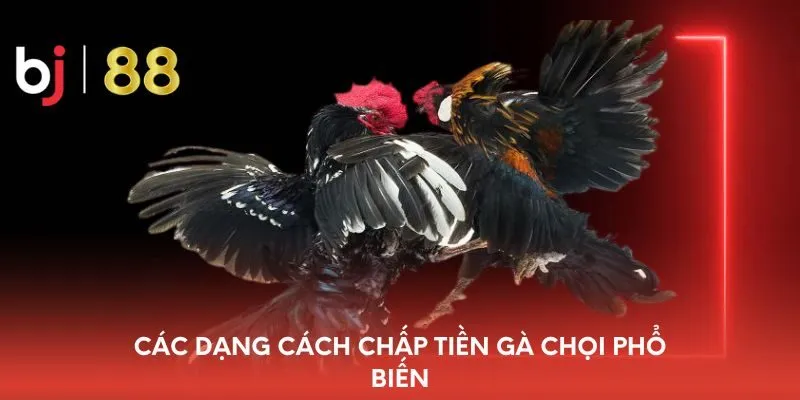 cac-dang-cach-chap-ien-ga-choi-pho-bien
