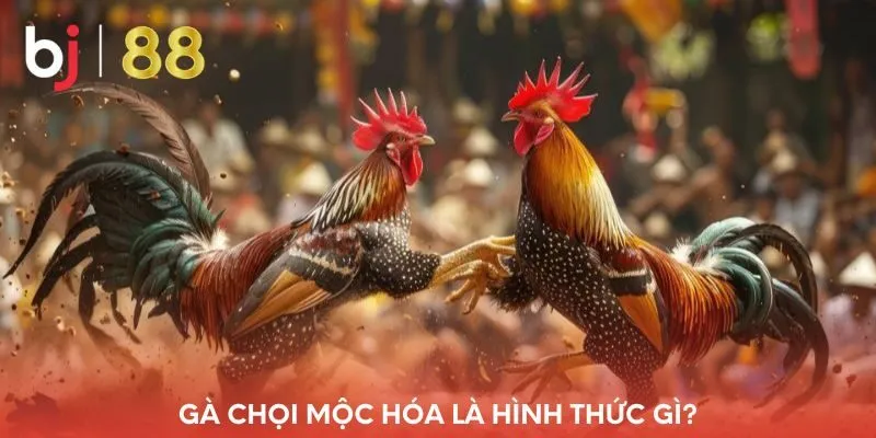 ga-choi-moc-hoa-la-hinh-thuc-gi