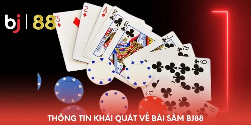thong-tin-khai-quat-ve-bai-sam-bj88