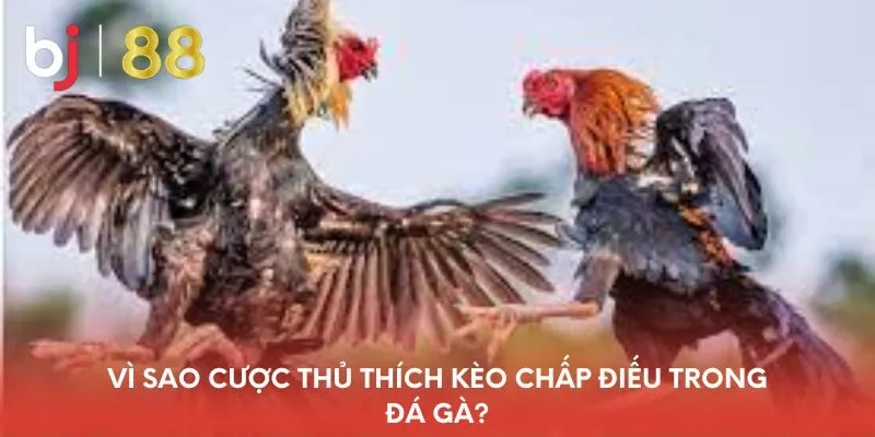 vi-sao-cuoc-thu-thich-keo-chap-dieu-trong-da-ga