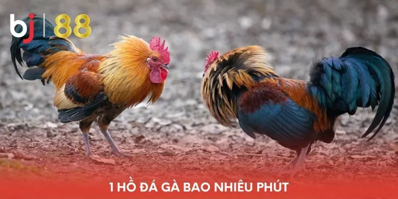 1-ho-da-ga-bao-nhieu-phut