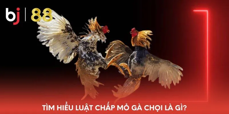 tim-hieu-luat-chap-mo-ga-choi-la-gi